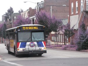 MetroBus #73 on Grand - Share the Road