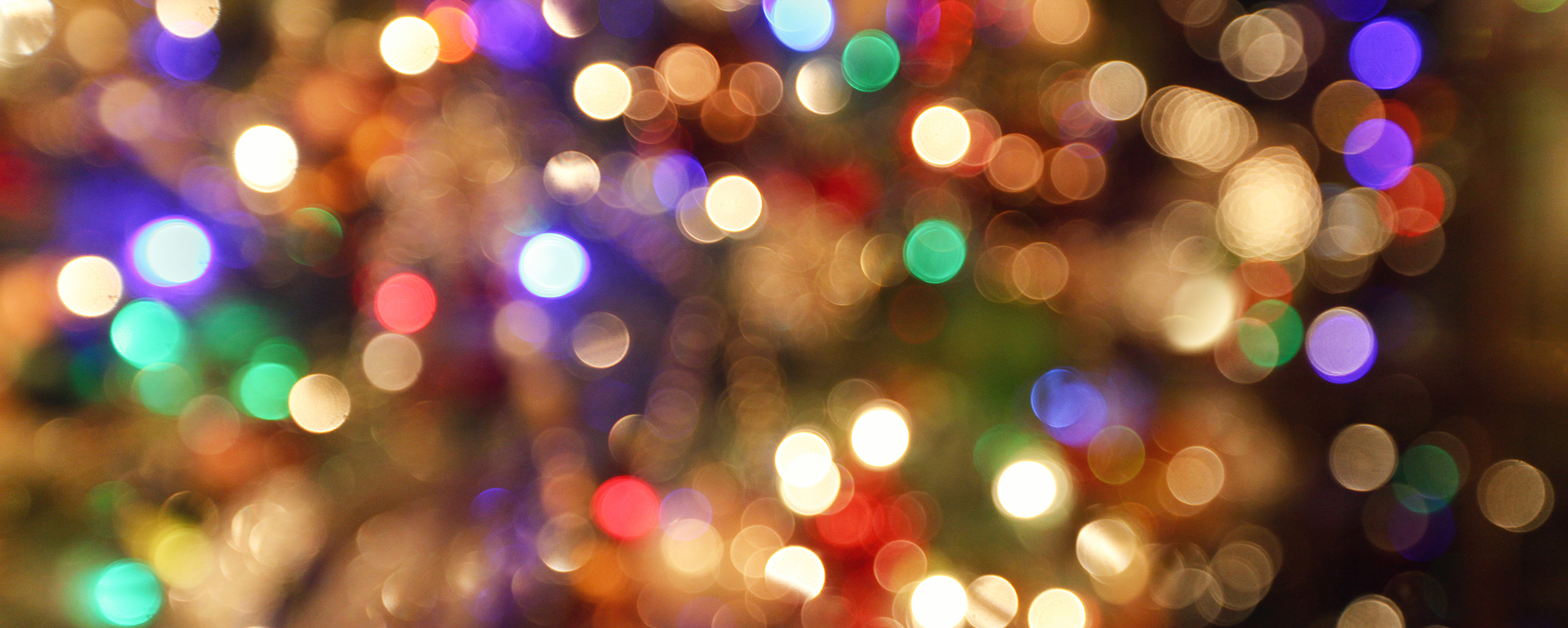 Christmas Lights PROMO